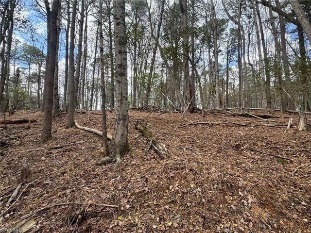 TBD Ward Circle Drive, Sparta, NC 28675