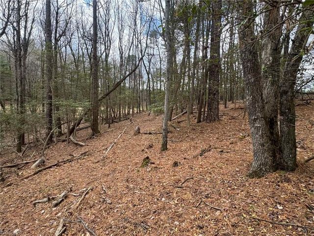 TBD Ward Circle Drive, Sparta, NC 28675