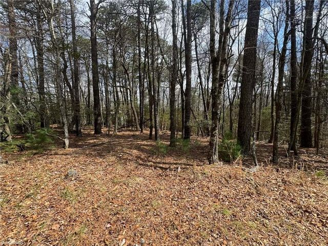 TBD Ward Circle Drive, Sparta, NC 28675