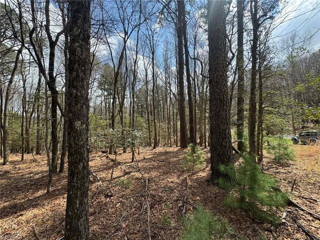 TBD Ward Circle Drive, Sparta, NC 28675