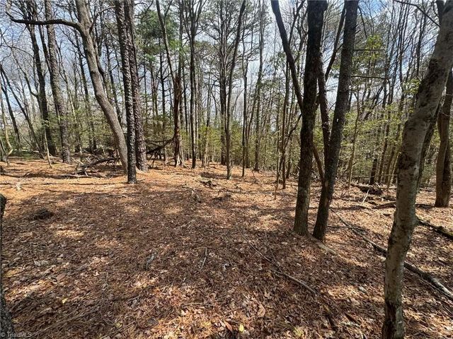 TBD Ward Circle Drive, Sparta, NC 28675