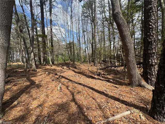 TBD Ward Circle Drive, Sparta, NC 28675