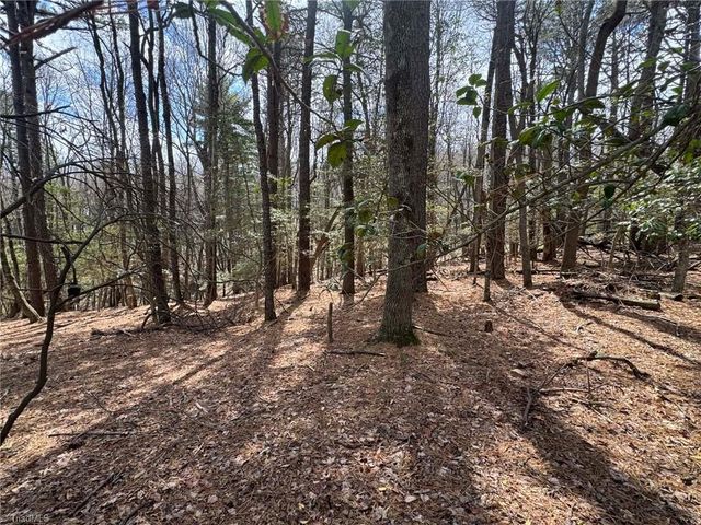 TBD Ward Circle Drive, Sparta, NC 28675