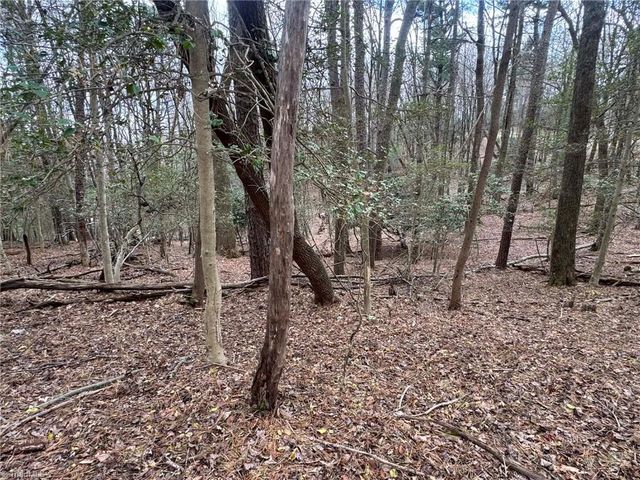TBD Ward Circle Drive, Sparta, NC 28675