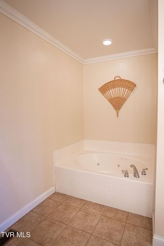 381 East Ridges Drive, Chuckey, TN 37641