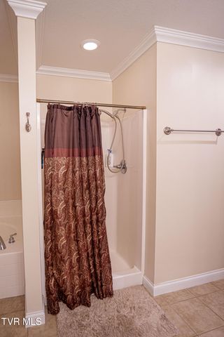 381 East Ridges Drive, Chuckey, TN 37641