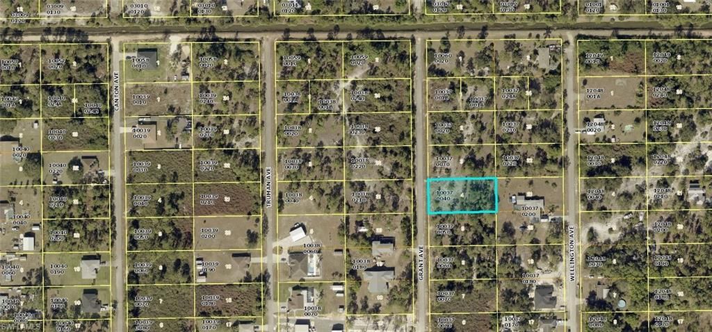 316 Grant AVE, LEHIGH ACRES, FL 33936 — photo 3