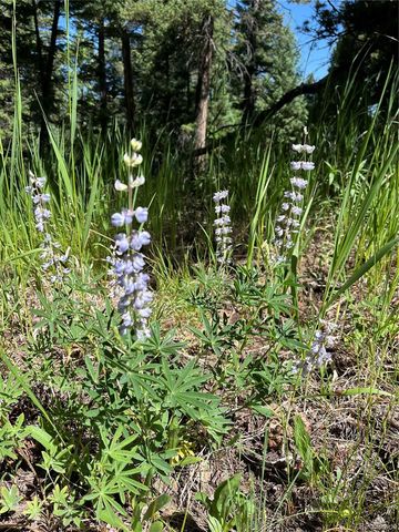 13963 N Trail Circle, Littleton, CO 80127