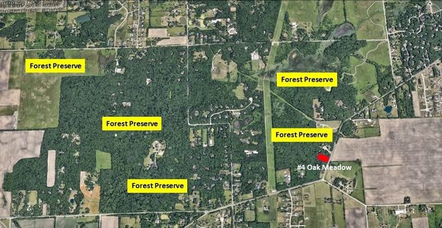 Oak Meadow Lot 4 Hadley Road, Homer Glen, IL 60491