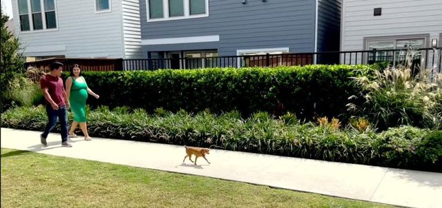 10931 Brambling Wood Drive, Houston, TX 77043