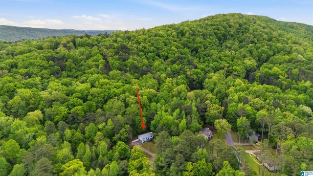 42 VALLEY CIRCLE, Pinson, AL 35126