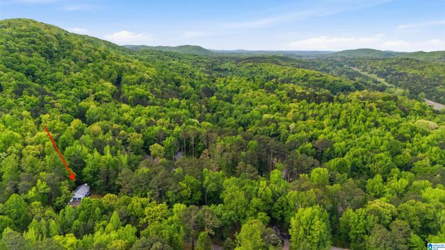 42 VALLEY CIRCLE, Pinson, AL 35126