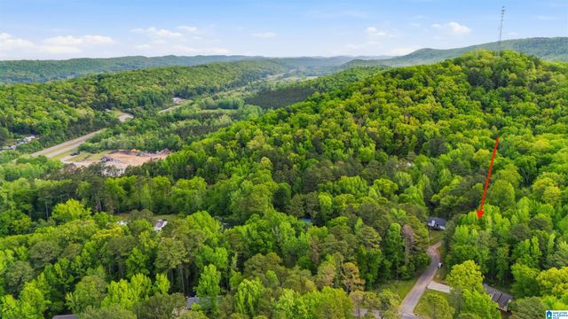 42 VALLEY CIRCLE, Pinson, AL 35126