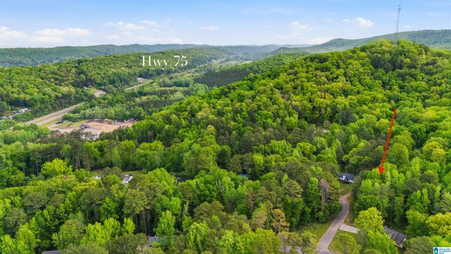 42 VALLEY CIRCLE, Pinson, AL 35126