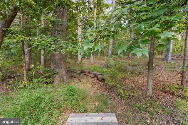 11913 OLD HICKORY CT, Spotsylvania, VA 22551