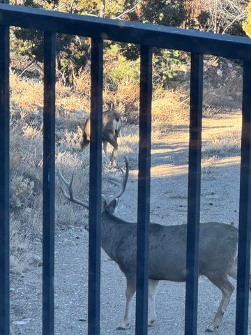 35 Gallinger Lane, Tijeras, NM 87059