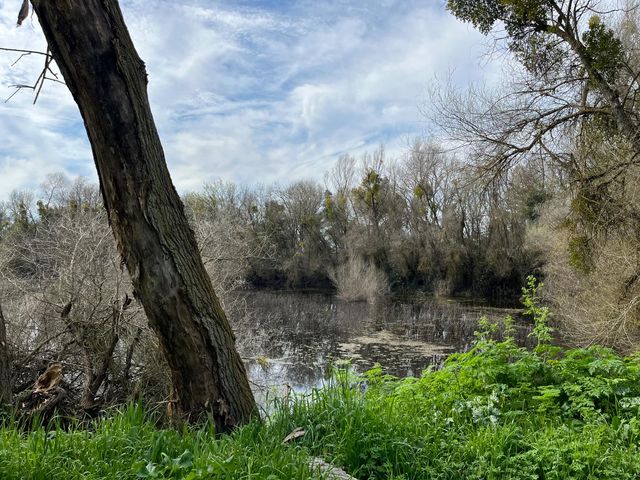 28108 Thornton Rd, Thornton, CA 95632