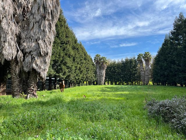 28108 Thornton Rd, Thornton, CA 95632