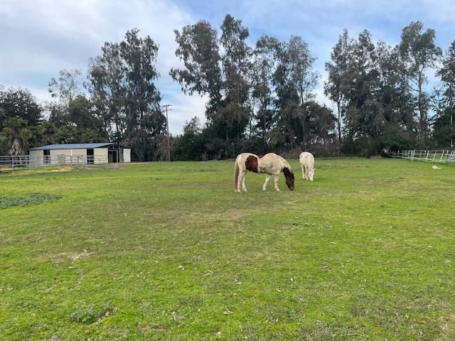 28108 Thornton Rd, Thornton, CA 95632