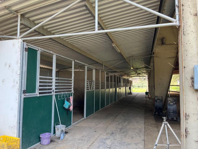 28108 Thornton Rd, Thornton, CA 95632