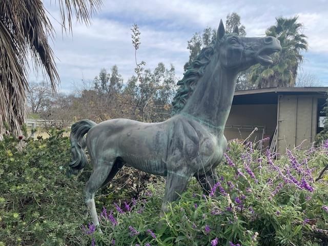 28108 Thornton Rd, Thornton, CA 95632