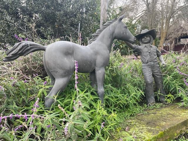 28108 Thornton Rd, Thornton, CA 95632