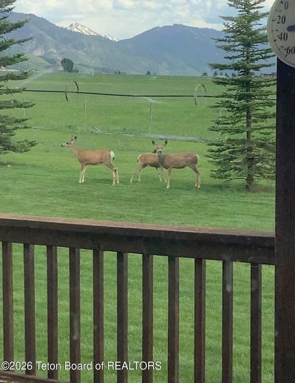 431 SHOOTING STAR Drive, Bedford, WY 83112 photo 29