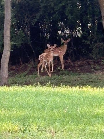 144 Howard Newby Lane, Springtown, TX 76082