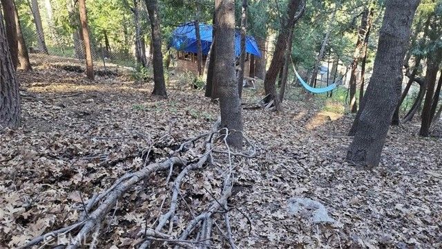 0 Bowl Road, Crestline, CA 92325