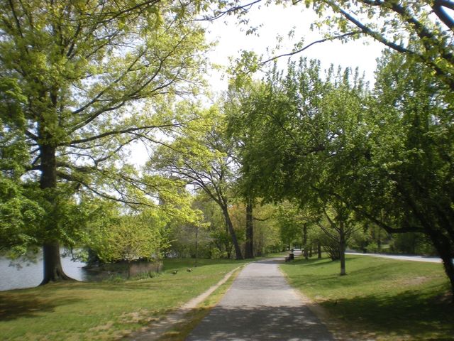 44 Washington St. 206, Brookline, MA 02445