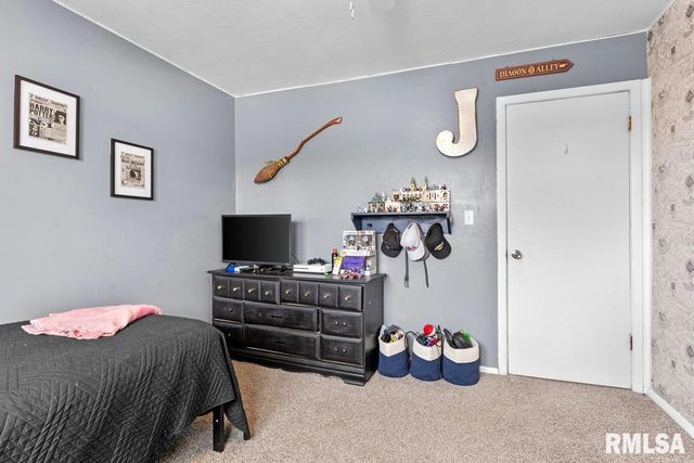 50 BIRCH Lane, Williamsville, IL 62639