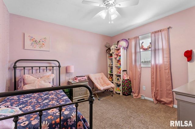 50 BIRCH Lane, Williamsville, IL 62639