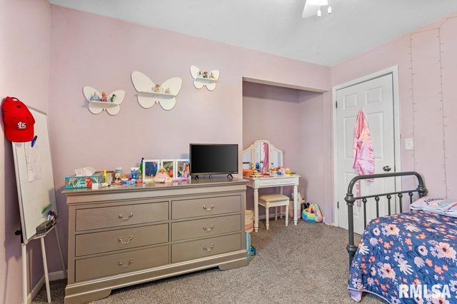 50 BIRCH Lane, Williamsville, IL 62639