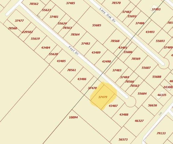 TBD Foyt Drive, Livingston, TX 77351