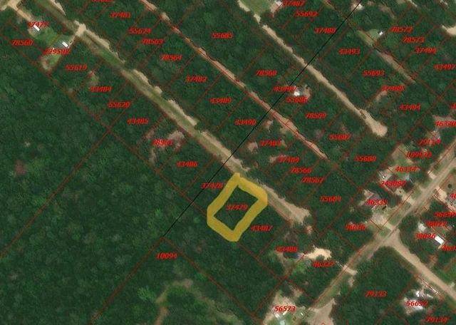 TBD Foyt Drive, Livingston, TX 77351