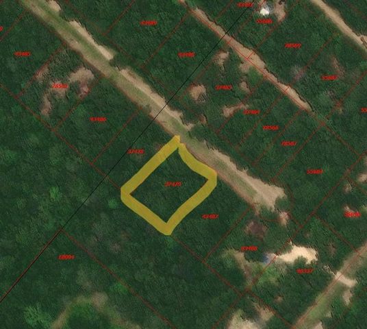 TBD Foyt Drive, Livingston, TX 77351
