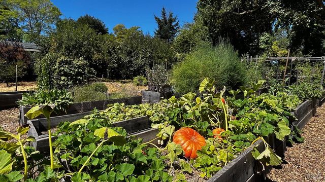 10463 Mill Station Rd, Sebastopol, CA 95472