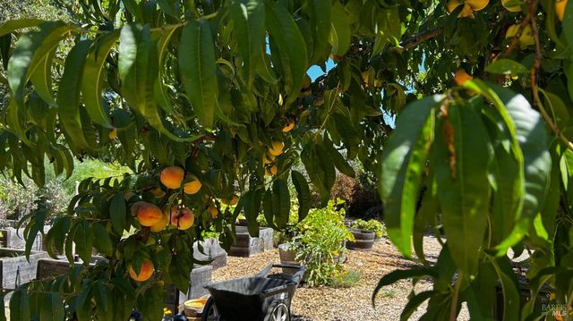 10463 Mill Station Rd, Sebastopol, CA 95472