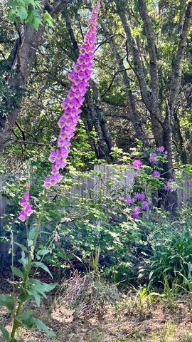 10463 Mill Station Rd, Sebastopol, CA 95472