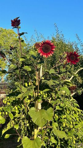 10463 Mill Station Rd, Sebastopol, CA 95472