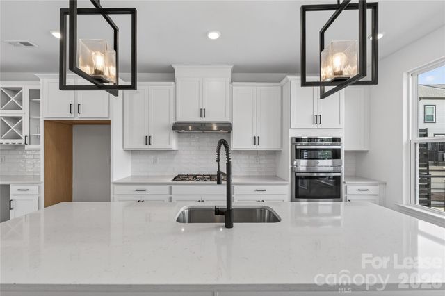 504 Annie Lowery Way, Davidson, NC 28036
