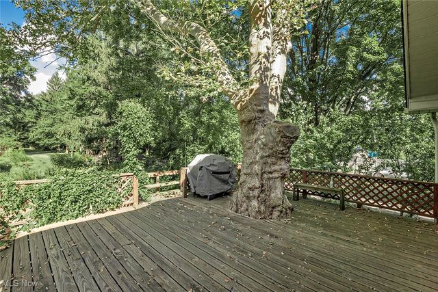 336 Fairgrounds Road, Painesville Twp, OH 44077