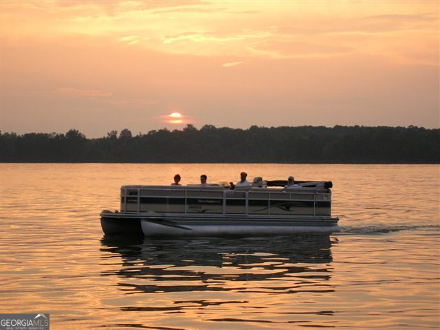 1180 Club Cove Drive, Greensboro, GA 30642