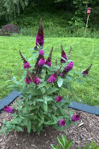 1013 Jericho Road, Hartford, VT 05001