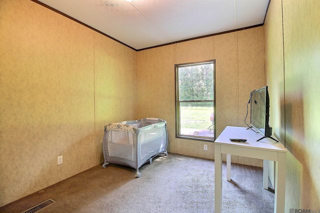 17061 Dykes Rd, French Settlement, LA 70733
