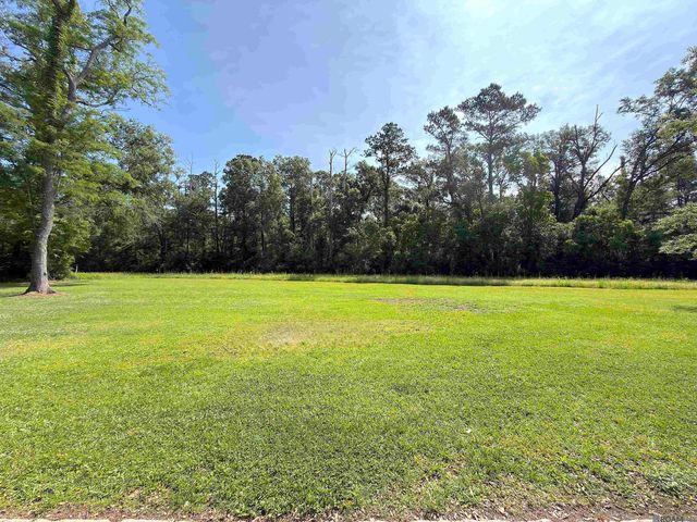 17061 Dykes Rd, French Settlement, LA 70733