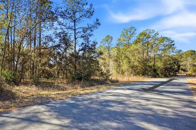 24456 SW TIGER LAKE BOULEVARD W, Dunnellon, FL 34431