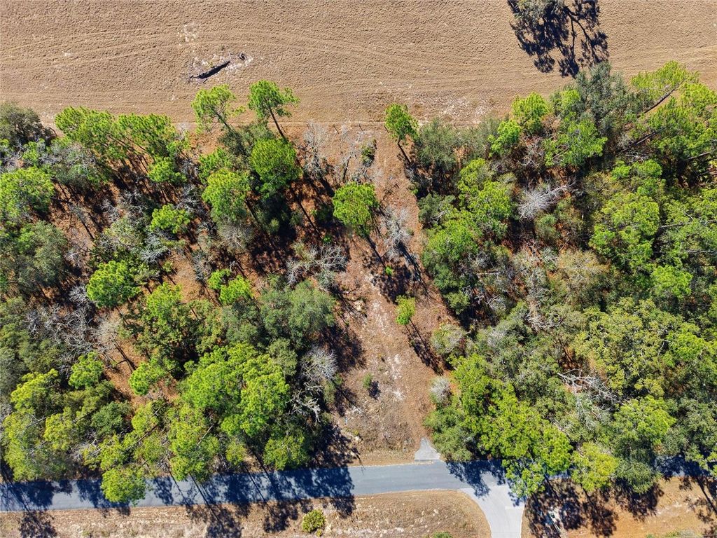 24456 SW TIGER LAKE BOULEVARD W, Dunnellon, FL 34431