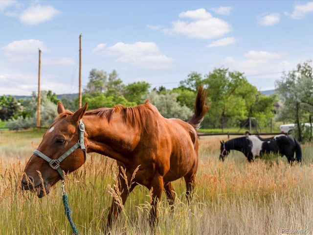 12196 W Belleview Drive, Littleton, CO 80127