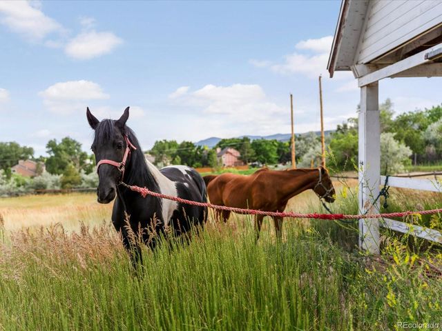 12196 W Belleview Drive, Littleton, CO 80127